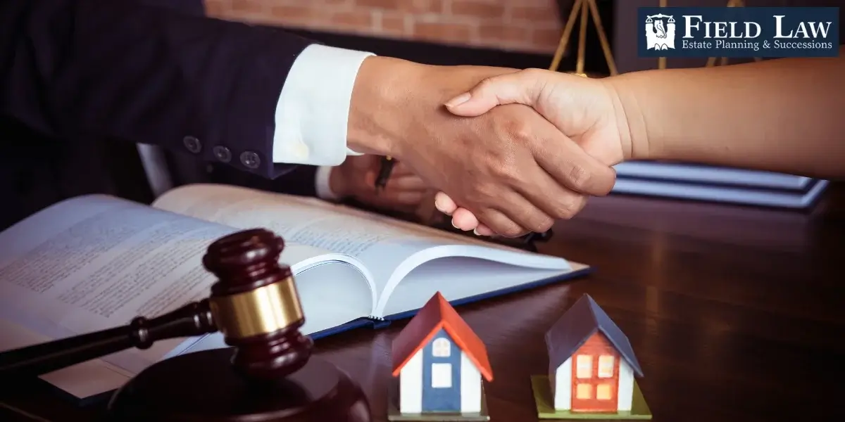 Skilled Port Allen Uncontested Successions Attorney