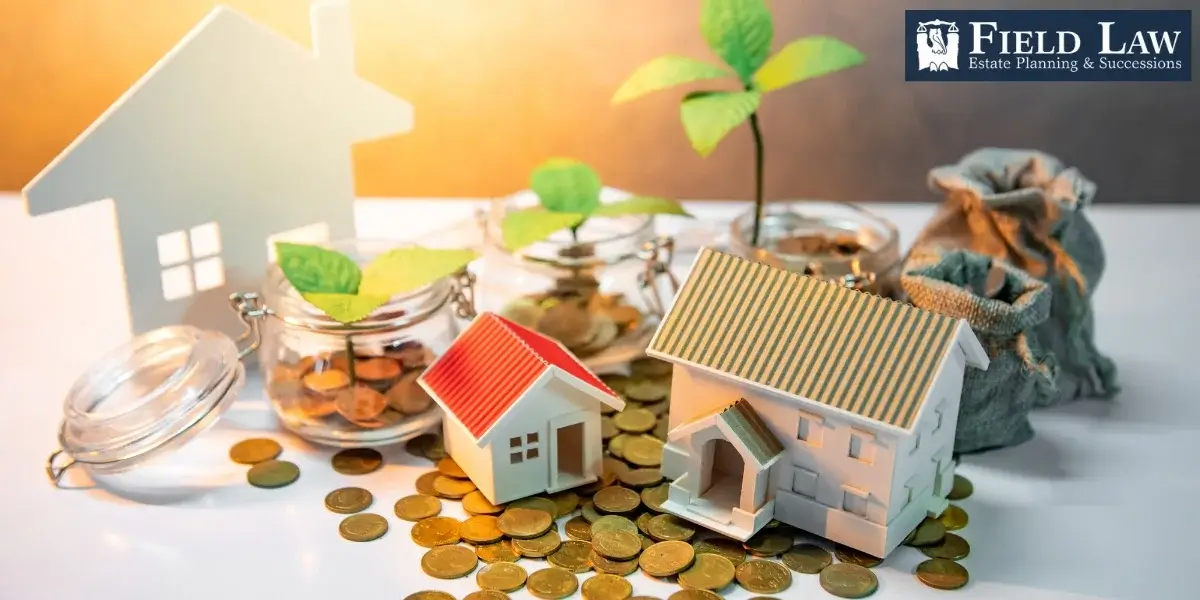 Experienced Gonzales Estate Planning Lawyer